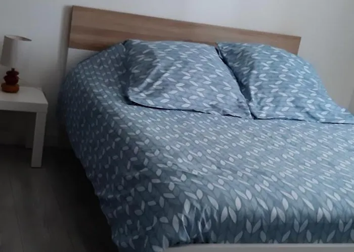 Indépendante Avec Frigo Et Micro-ondes